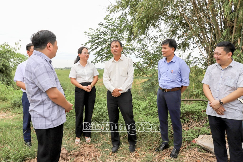 Vice Chairman of the Provincial People's Committee Nguyen Hung Nam surveyed and inspected the dike system and embankment of Con Nhi, Binh Dinh commune.