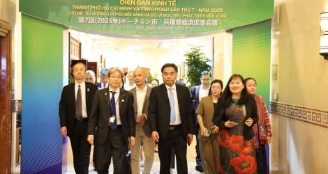 Xu hướng dịch chuyển dòng vốn đầu tư Nhật Bản vào Việt Nam