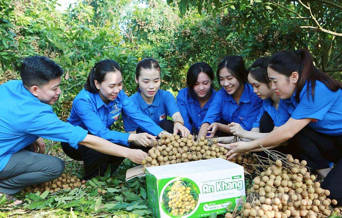 Thanh niên phường An Tường hỗ trợ nông dân tiêu thụ nông sản của địa phương.