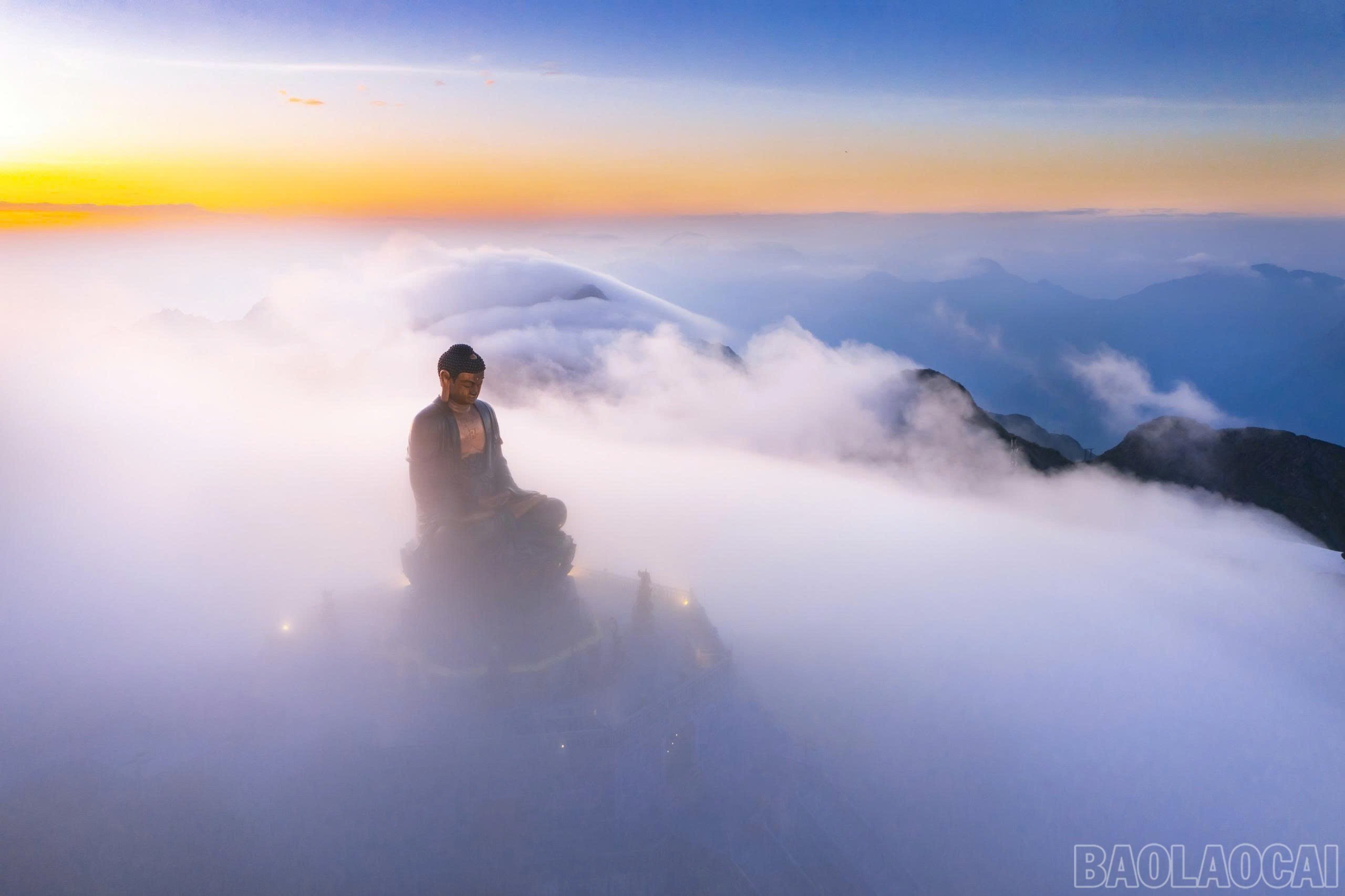 baolaocai-br_z6878658717727-5dd96edcd88424f97a9b84c9264fbaee.jpg