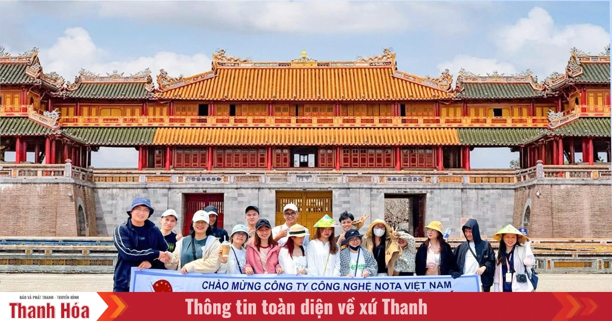 Đại Việt Tourist - Người đồng hành tin cậy trên hành trình khám phá Huế