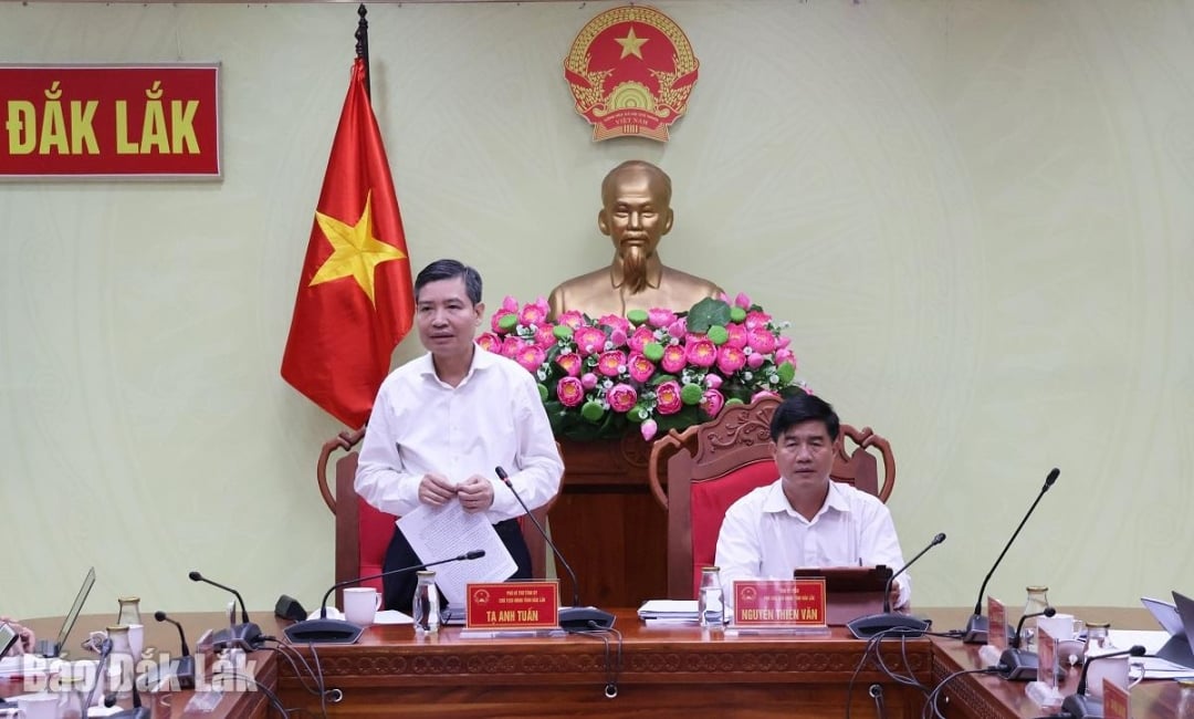 Chủ tịch UBND tỉnh Tạ Anh Tuấn phát biểu chỉ đạo tại buổi làm việc.