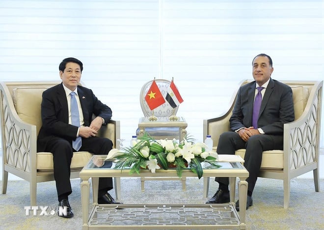 ttxvn-chu-tich-nuoc-luong-cuong-hoi-kien-thu-tuong-ai-cap-mostafa-madbouly-4.jpg
