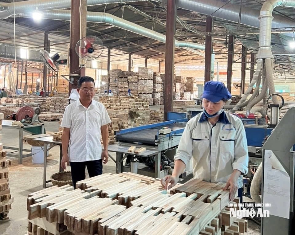 Sản xuất tại Công ty TNHH MTV lâm nghiệp Sông Hiếu