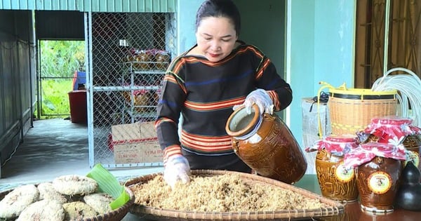 Nâng tầm nông sản Gia Lai bằng công nghệ và chuyển đổi số