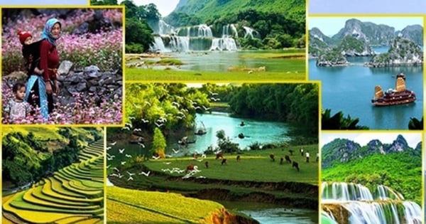Repositioning the national tourism brand in a systematic and professional manner