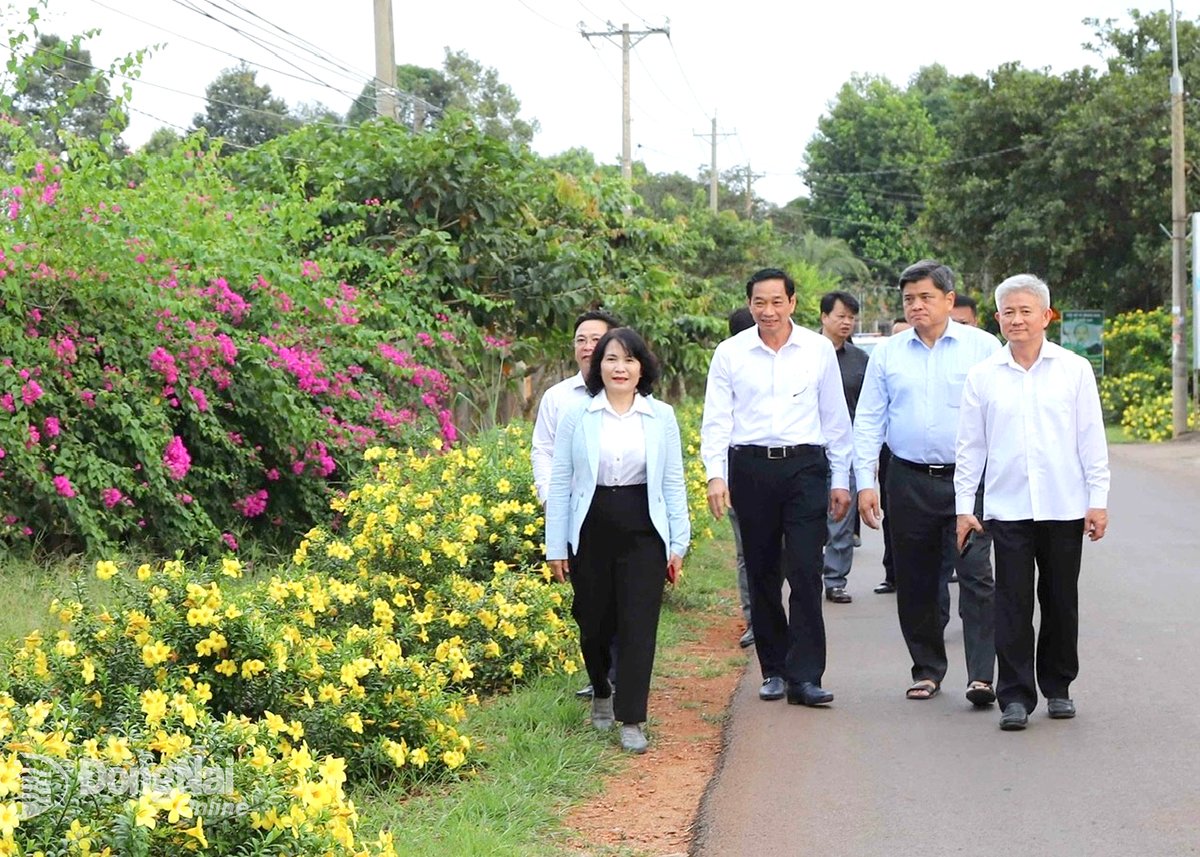 Tuyến đường kiểu mẫu trên địa bàn xã Xuân Lộc. Ảnh: B.Nguyên