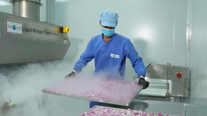 Nông sản Việt quyết tâm vượt qua rào cản để khẳng định vị trí trên thị thường quốc tế - Ảnh 3.
