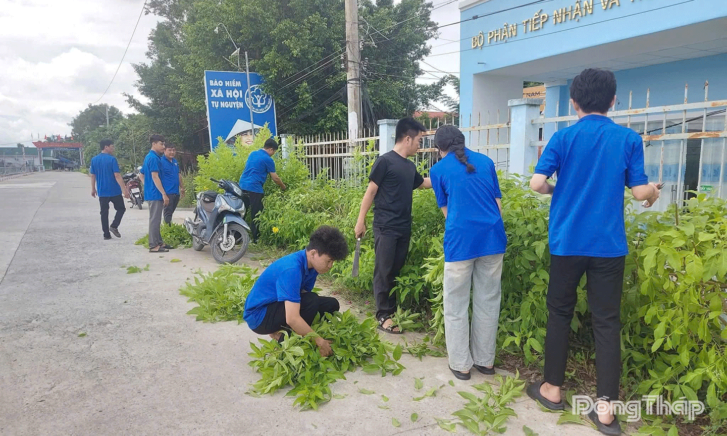 phát hoang cây cối tại trụ sở Đảng ủy, tổng vệ sinh các khu vực công cộng