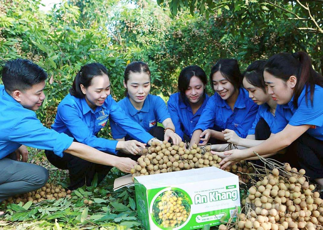 Đoàn phường An Tường hỗ trợ nông dân tiêu thụ nông sản