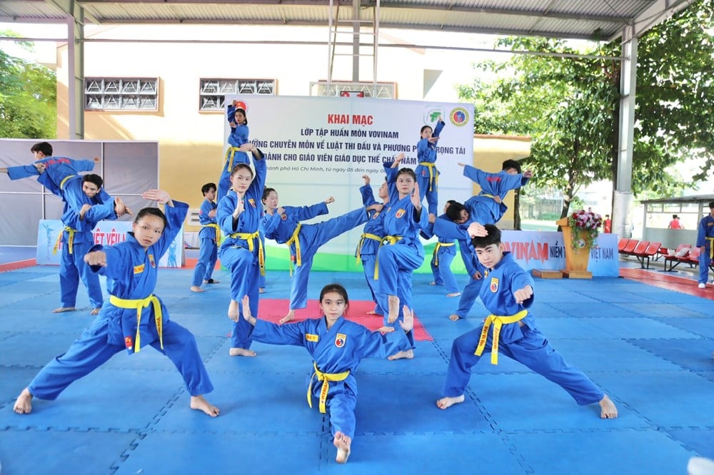 Hô-Chi-Minh-Ville promeut le développement du Vovinam dans les écoles - photo 2