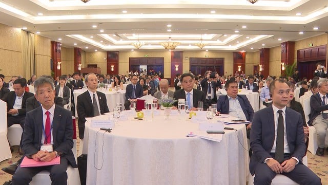 TP.HCM và Hyogo thúc đẩy hợp tác chiến lược, hướng đến phát triển xanh và số  - Ảnh 2.