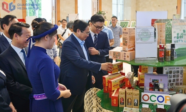 Driving force for development of domestic production