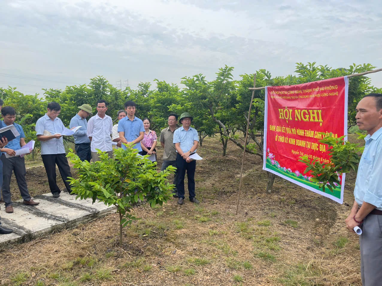 ការវាយតម្លៃលទ្ធផលនៃគំរូការដាំដុះដែលពឹងផ្អែកខ្លាំងលើផ្លែប៉មនៅក្នុងរយៈពេលអាជីវកម្មវាល