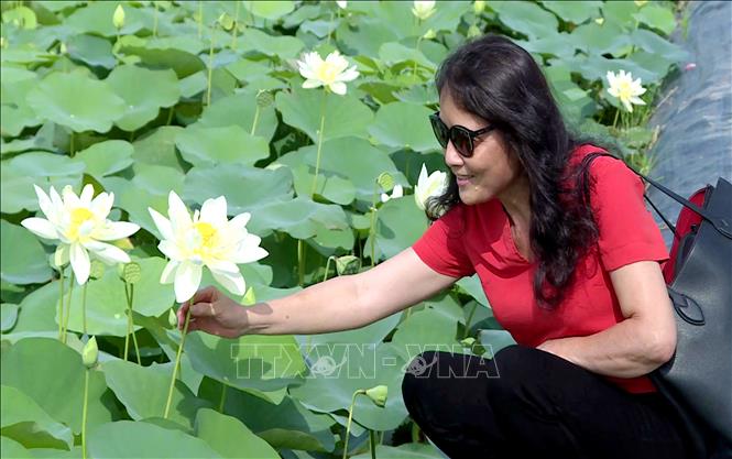 Hưng Yên: Mở lối phát triển nông nghiệp gắn với du lịch trải nghiệm - Ảnh 2.