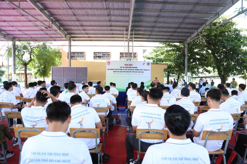 Hô-Chi-Minh-Ville promeut le développement du Vovinam dans les écoles - photo 1