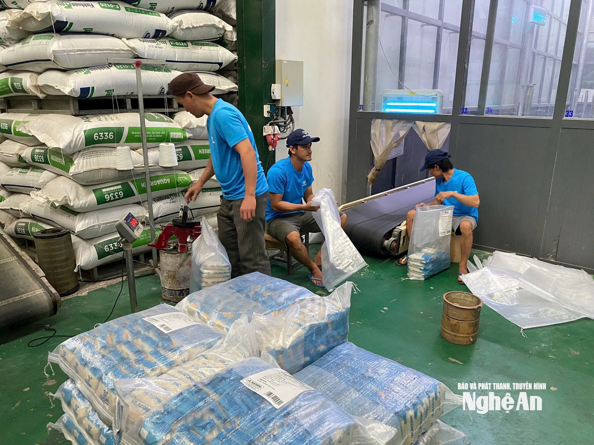 gạo ST 25 tại thị trường hoa kỳ ảnh TH