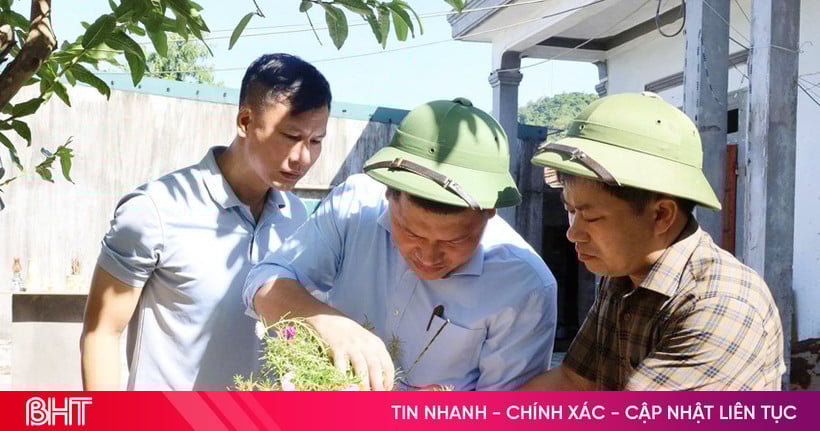 Ha Tinh បានគ្រប់គ្រងដោយជោគជ័យនូវការផ្ទុះឡើងនៃជំងឺគ្រុនឈាមជាលើកដំបូងក្នុងឆ្នាំ 2025