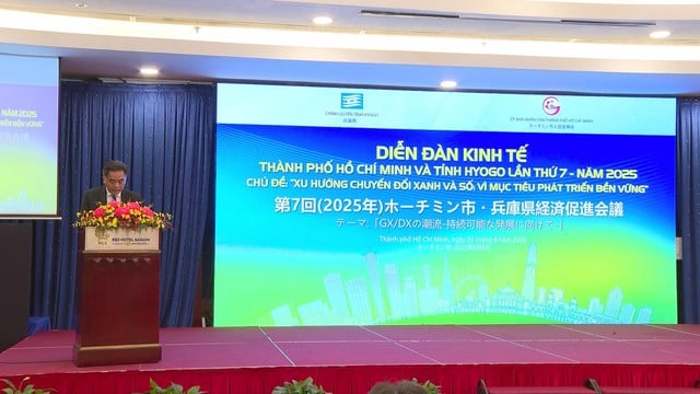 TP.HCM và Hyogo thúc đẩy hợp tác chiến lược, hướng đến phát triển xanh và số  - Ảnh 1.