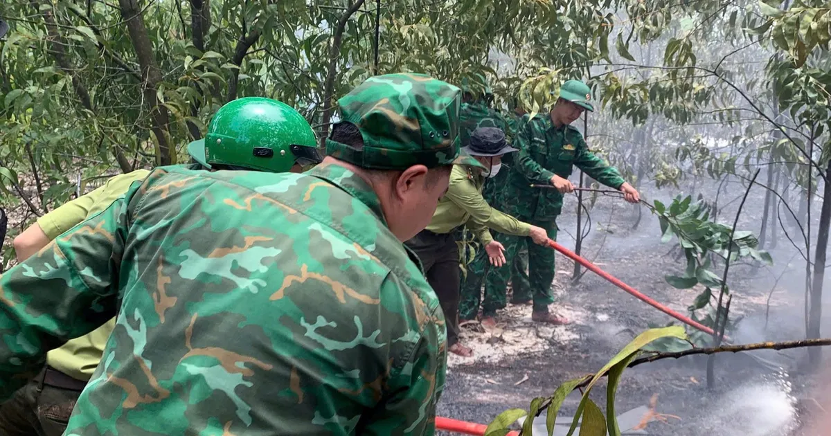 Kịp thời dặp tắt vụ cháy rừng tại TP Huế