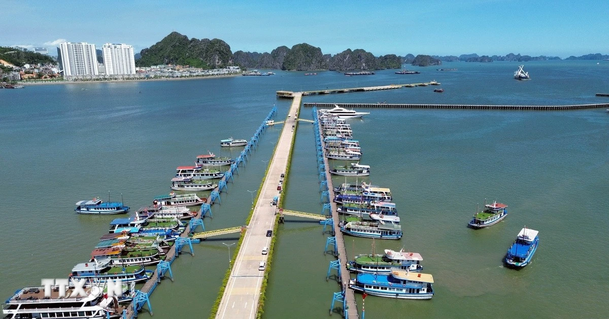 Quảng Ninh: Tàu du lịch trên Vịnh Hạ Long lắp đặt thiết bị liên lạc trước 15/8