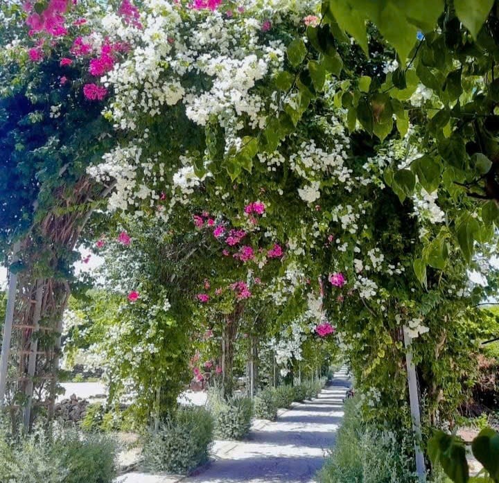ينبهر السياح بطريق الجهنمية الرائع في جزيرة بي - الصورة 5