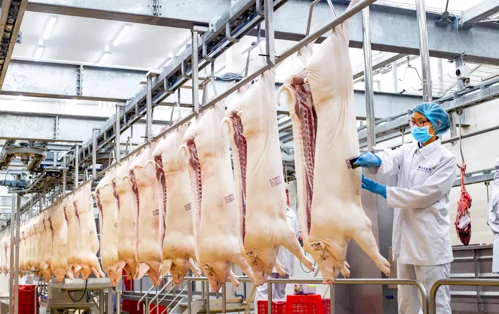 Hà Nội lập khu giết mổ heo tập trung
