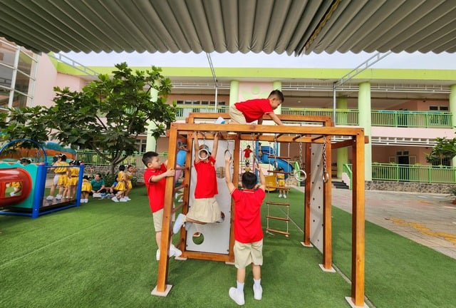 Học phí mầm non có trường 300 triệu đồng/năm   - Ảnh 1.