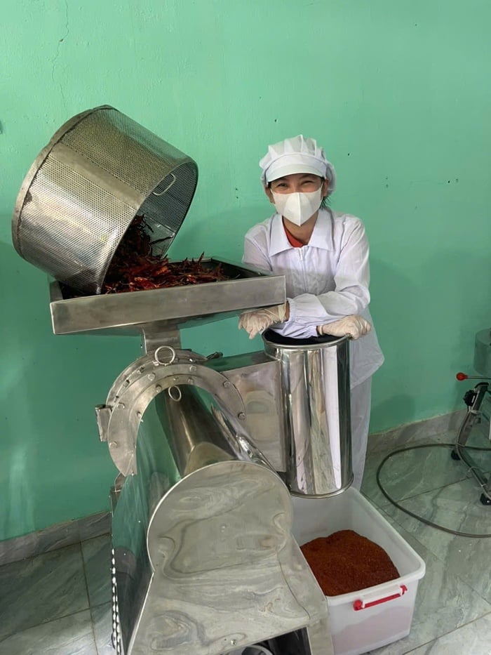 Gửi gắm hồn quê vào gia vị Việt- Ảnh 2.