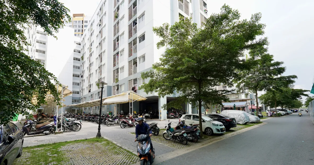 TPHCM nghiên cứu thành lập Ban Chỉ đạo về phát triển nhà ở xã hội