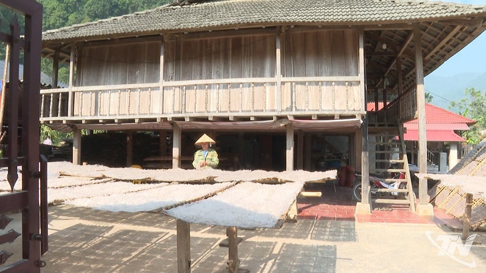 Người dân xã Côn Minh làm miến tráng tay. Miến sau khi tráng tay được phơi nắng cho se lại rồi đem thái sợi và tiếp tục phơi.