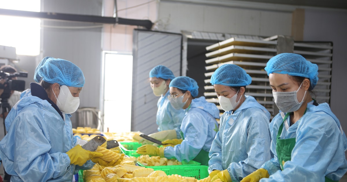 Сельскохозяйственная продукция и безопасность пищевых продуктов