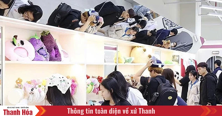 The unique path of many young startups in Thanh Hoa