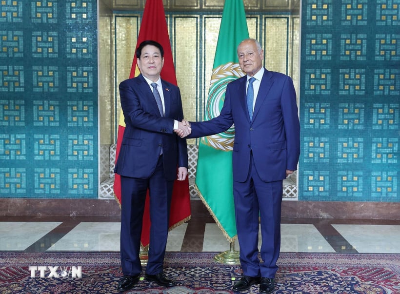 chu tich nuoc luong cuong phat bieu chinh sach tai lien doan arab 0408 5.jpg