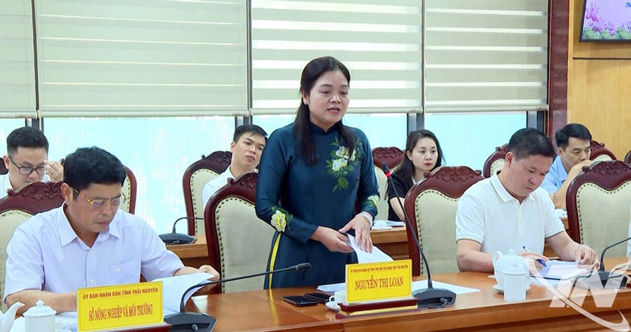 En la reunión habló la camarada Nguyen Thi Loan, vicepresidenta del Comité Popular Provincial.