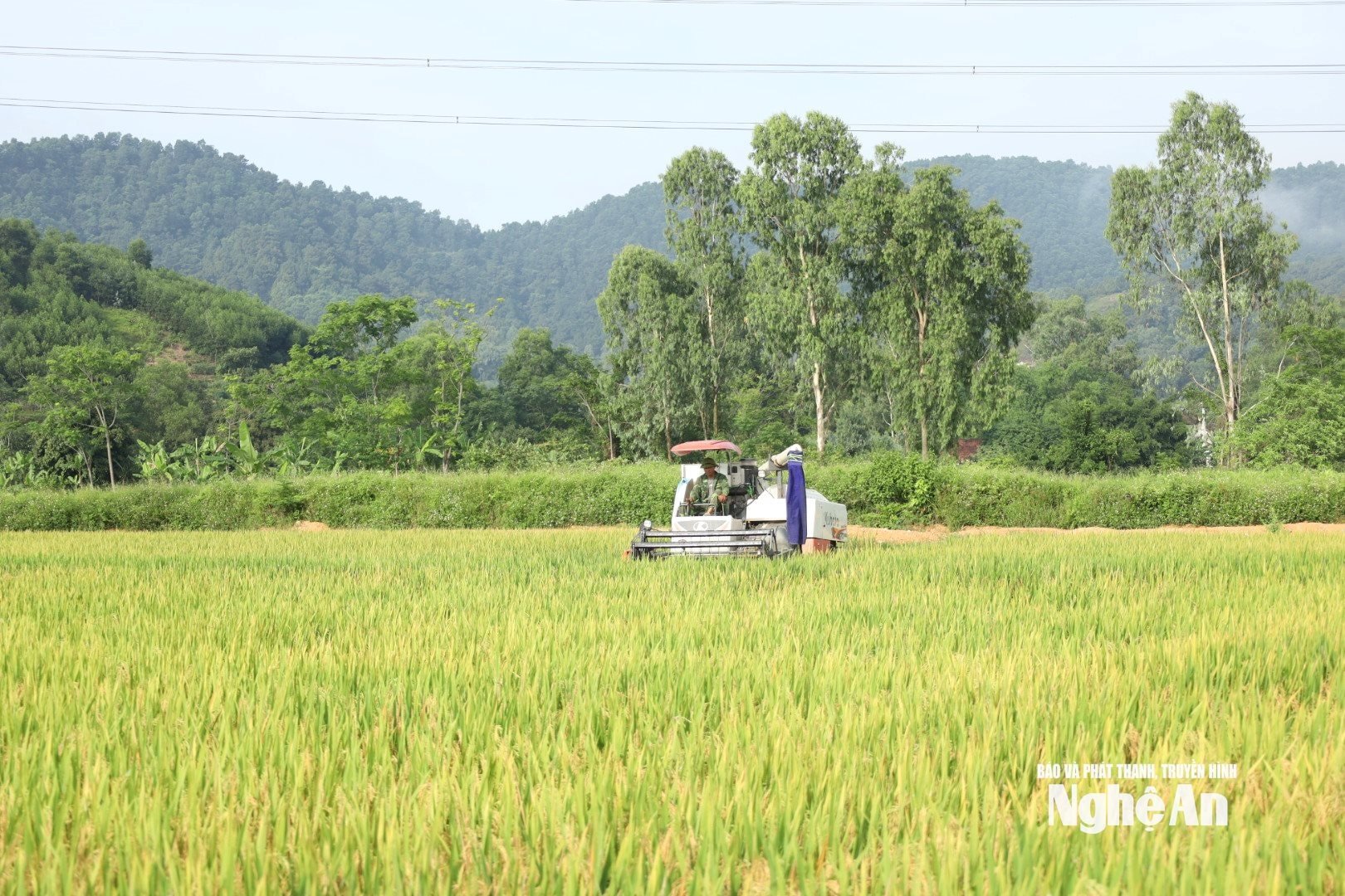 được màu