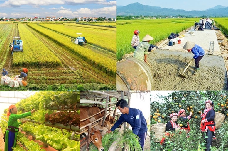 Nỗ lực thực hiện 3 Chương trình mục tiêu quốc gia đảm bảo thông suốt, liên tục- Ảnh 1.