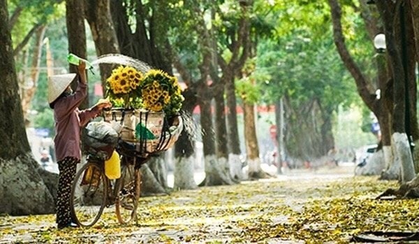 Thời tiết hôm nay (7-8): Miền Bắc giảm mưa, nhiệt độ cao nhất 34 độ C. Ảnh minh họa: Vietnamnet 