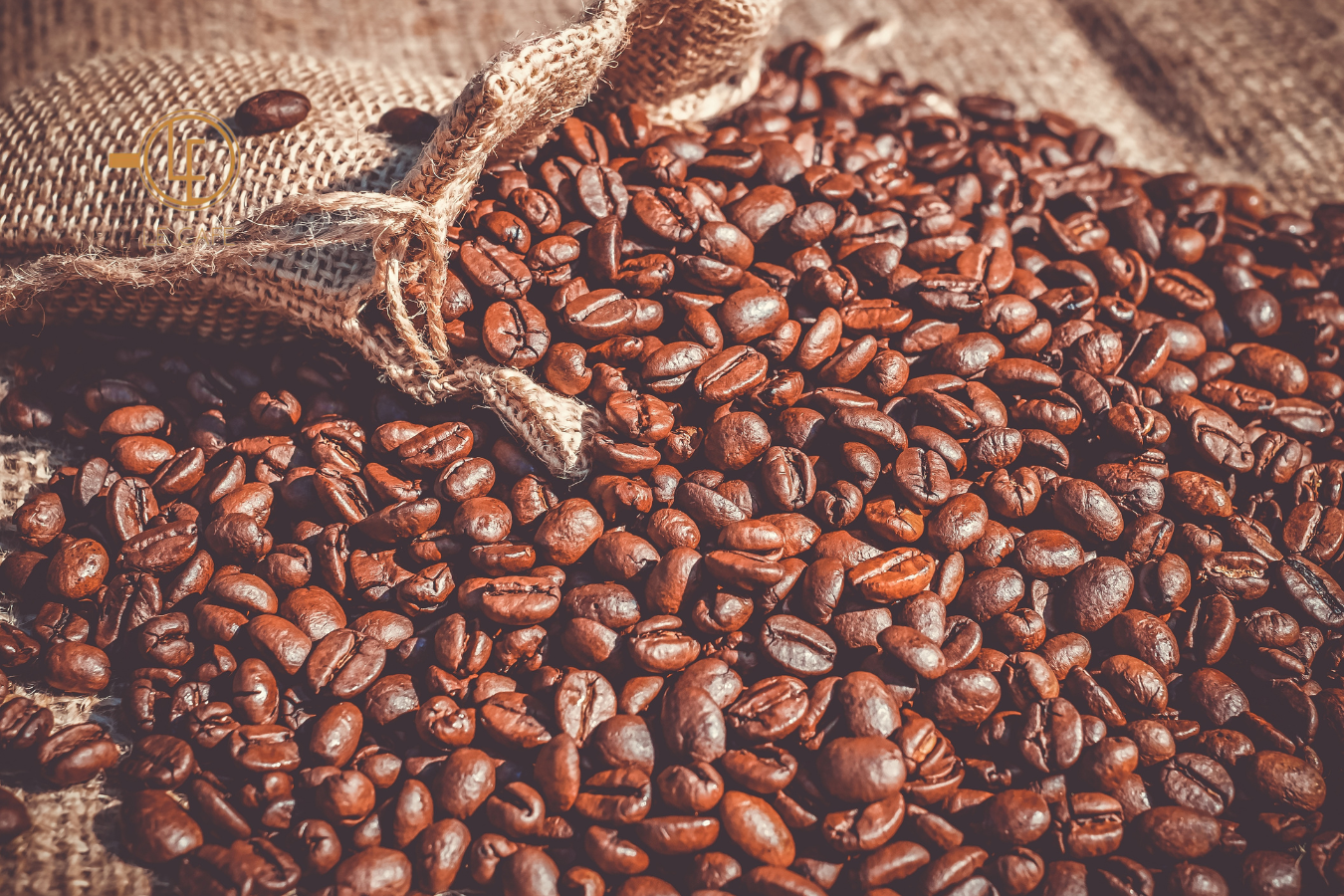 Precio del café hoy 7/8/2025: Sigue aumentando