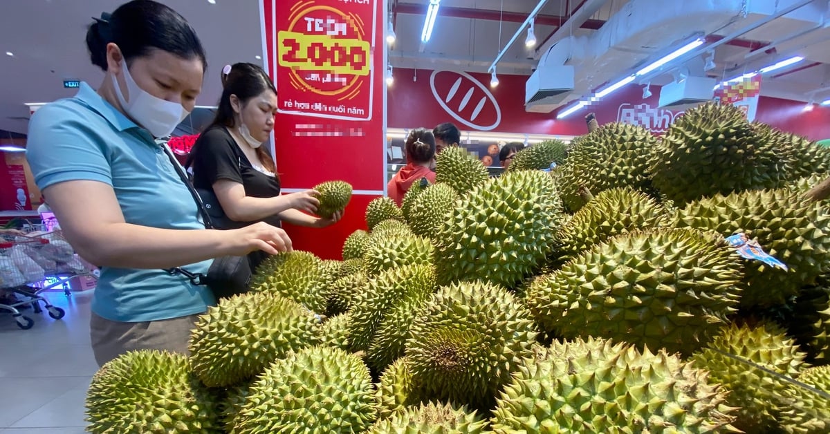 Sầu riêng xuất khẩu sang Trung Quốc bị trả về sẽ phải kiểm tra chất vàng O