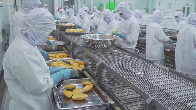 20% thuế hàng hóa xuất khẩu sang Mỹ và bài toán cạnh tranh của doanh nghiệp Việt - Ảnh 5.