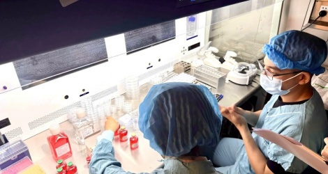 បច្ចេកទេស IVF របស់វៀតណាមត្រូវបានគេវាយតម្លៃខ្ពស់ជាអន្តរជាតិ។