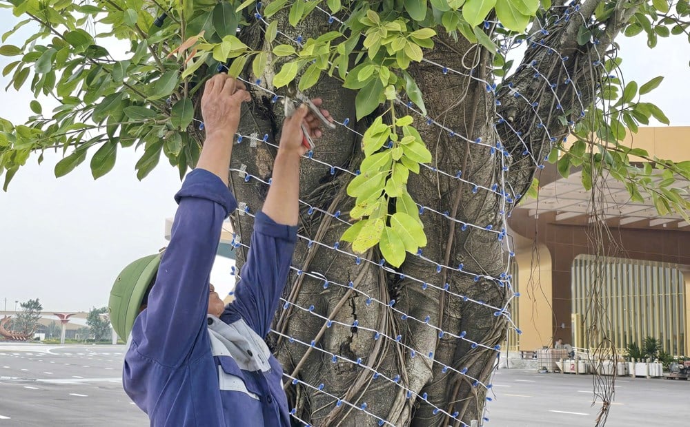 Chạy đua tiến độ phục vụ Triển lãm Thành tựu đất nước  - ảnh 10