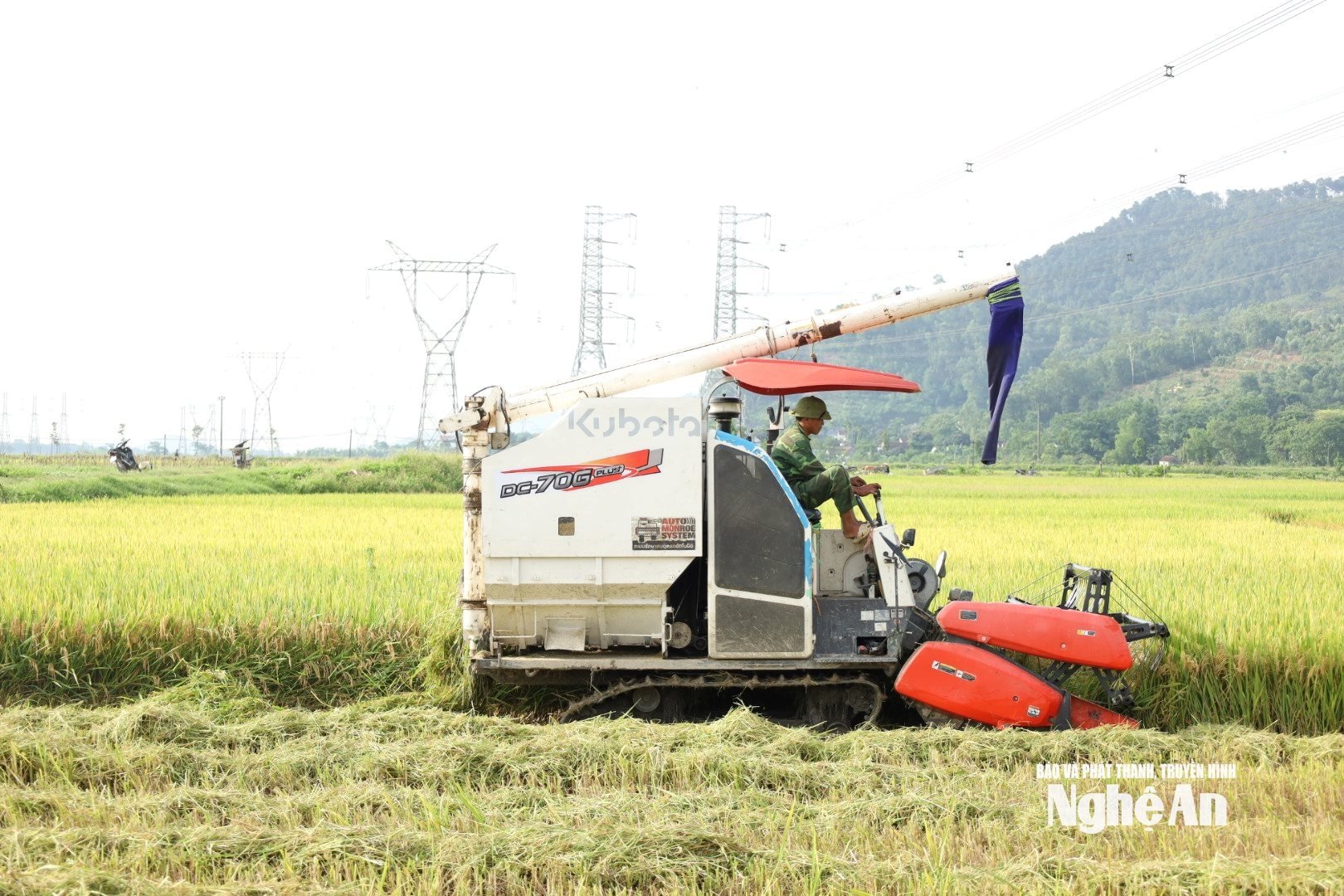 cơ giới