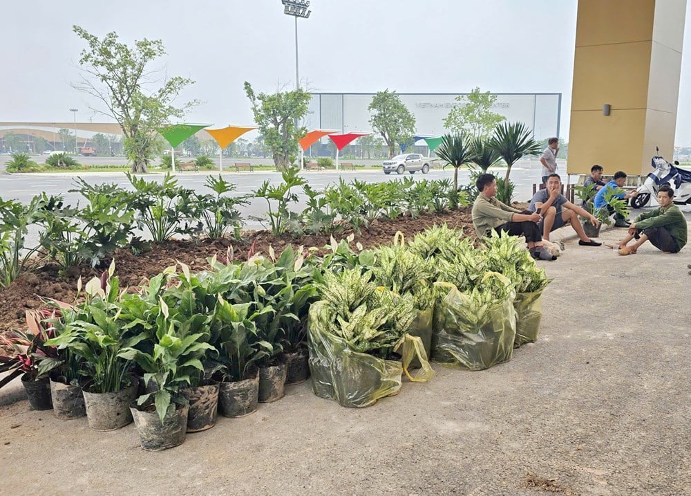 Chạy đua tiến độ phục vụ Triển lãm Thành tựu đất nước  - ảnh 11