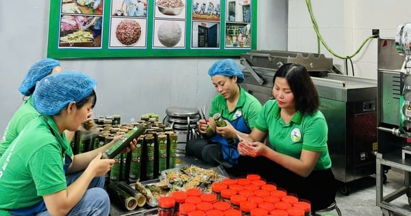 Phụ nữ dân tộc vùng dân tộc thiểu số và miền núi nâng tầm hương vị núi rừng qua từng sản phẩm