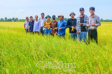 Nông nghiệp phát huy vai trò "trụ đỡ" tăng trưởng kinh tế