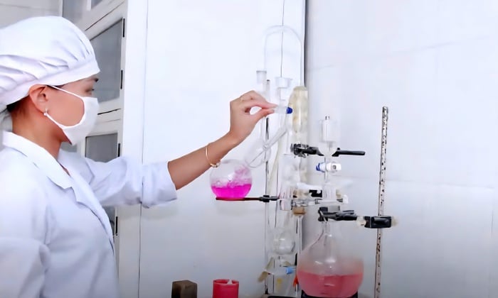 Xây dựng thương hiệu nước mắm, đưa vị mặn mòi từ hải đảo vươn xa - Ảnh 2.