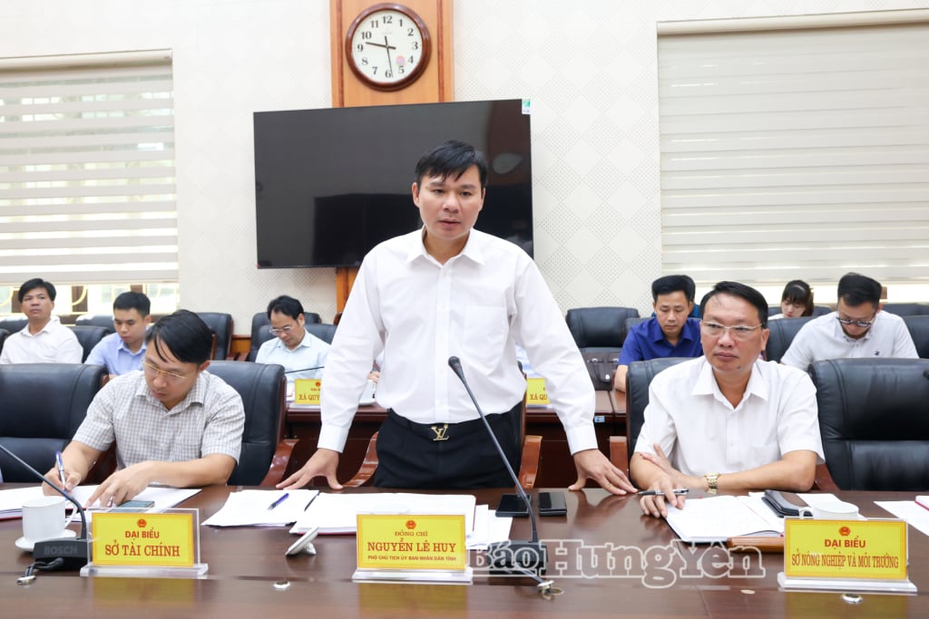 Đồng chí Nguyễn Lê Huy, Ủy viên Ban Thường vụ Tỉnh ủy, Phó Chủ tịch UBND tỉnh phát biểu tại buổi làm việc.