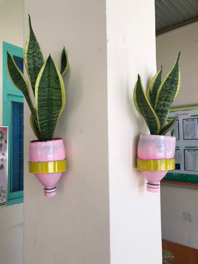 Đưa cây xanh, cỏ hoa vào không gian trường học- Ảnh 3.